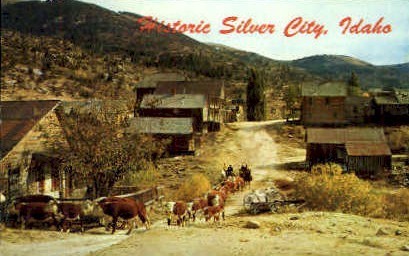 Historic Ghost Town - Silver City, Idaho ID Postcard