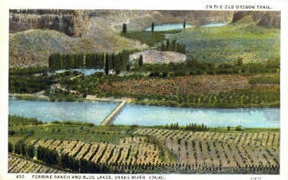 Perrine Ranch and Blue Lakes - Snake River, Idaho ID Postcard