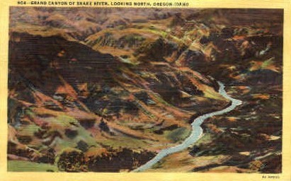 Grand Canyon of the Snake River - Idaho ID Postcard