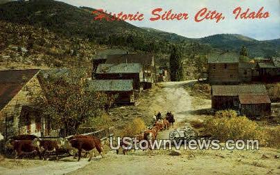 Silver City, Idaho,s;   Silver City, ID Postcard