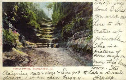 French Canyon - Starved Rock, Illinois IL Postcard