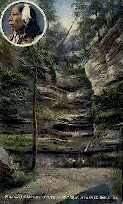 Wildcat Canyon  - Starved Rock, Illinois IL Postcard