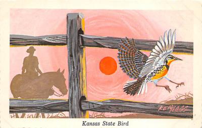 Kansas State Bird KS