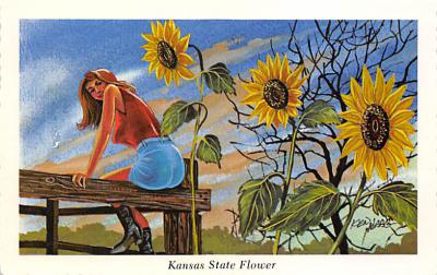 Kansas State Flower KS