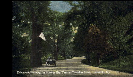 Cherokee Park - Louisville, Kentucky KY Postcard