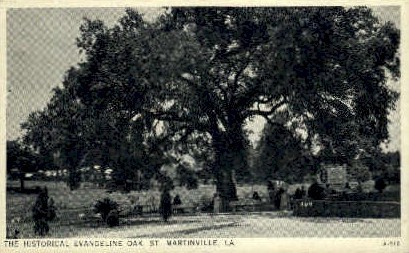 Evangeline Oak  - Saint Martinville, Louisiana LA Postcard