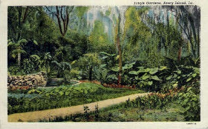 Jungle Gardens  - Avery Island, Louisiana LA Postcard