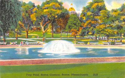Frog Pond  Boston, Massachusetts Postcard