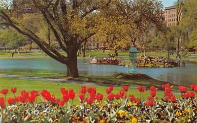 Swan Boat & The Famous Boston Public Gardens Massachusetts Postcard