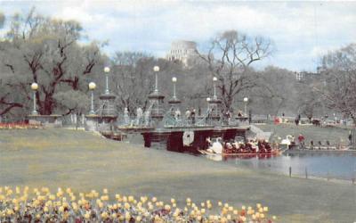 Tulip Time in the Public Gardens Boston, Massachusetts Postcard
