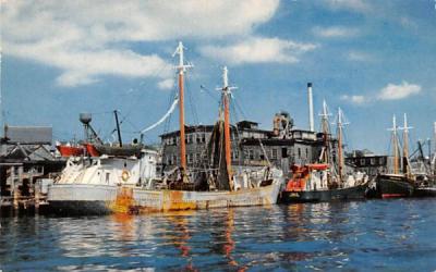 One of New England's Famous Fishing Fleets Boston, Massachusetts Postcard