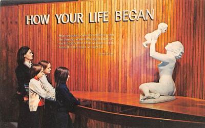 How Your Life Began Boston, Massachusetts Postcard