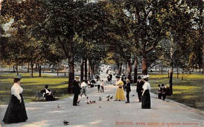 Scene in Boston Commons Massachusetts Postcard