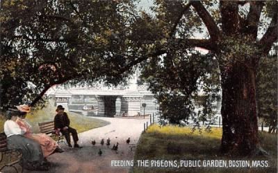 Feeding the Pigeons Boston, Massachusetts Postcard