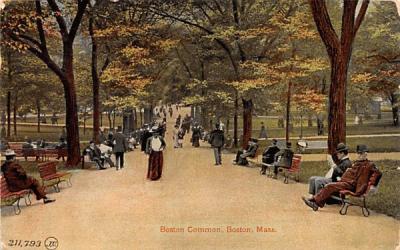 Boston Common  Massachusetts Postcard