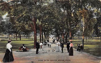 Scene on the Common Boston, Massachusetts Postcard