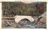 Cold River Bridge Berkshire Hills, Massachusetts Postcard