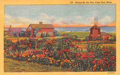 Homes By the Sea Cape Cod, Massachusetts Postcard