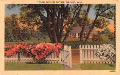 Typical Cape Cod Village Massachusetts Postcard