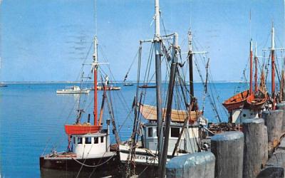 Cape Cod fishing boats at dock Massachusetts Postcard