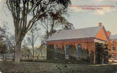 Old Harvard Chapel & Harvard Tree Cambridge, Massachusetts Postcard