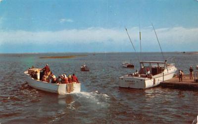 Going Fishing Chatham, Massachusetts Postcard