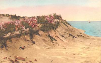 Sand Dune & Sea Chatham, Massachusetts Postcard