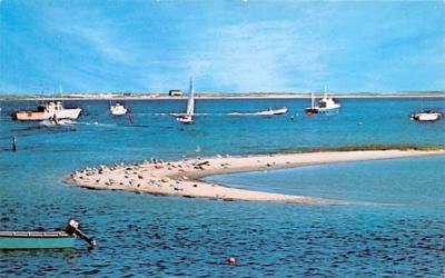 Gull-Island Chatham, Massachusetts Postcard