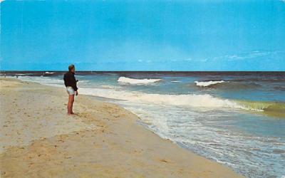 Along the Surf on Outer Cape Cod Massachusetts Postcard