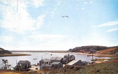 Oyster Houses Chatham, Massachusetts Postcard