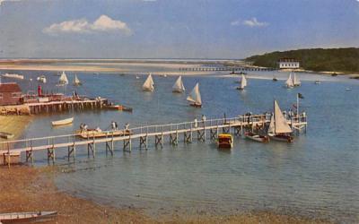 Sailing Races  Chatham, Massachusetts Postcard