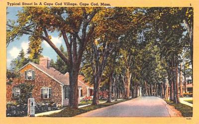 Typical Street  Cape Cod, Massachusetts Postcard