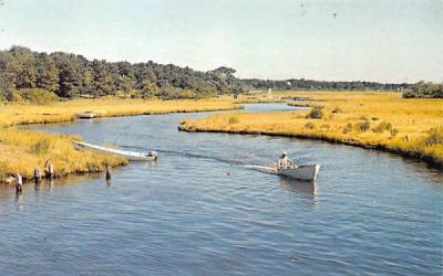 Salt Pond Cape Cod, Massachusetts Postcard