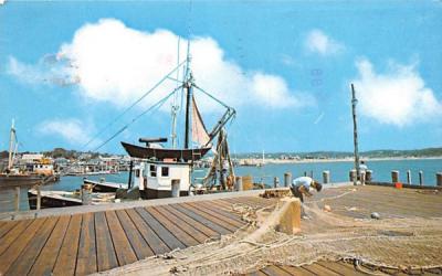 Wellfleet Harbor Cape Cod, Massachusetts Postcard