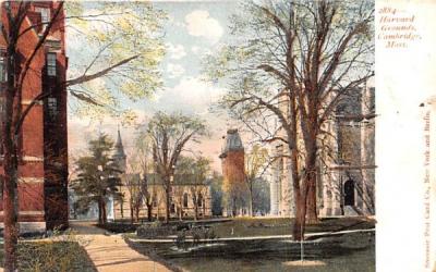 Harvard Grounds Cambridge, Massachusetts Postcard