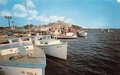 The Chatham Fish Pier Massachusetts Postcard