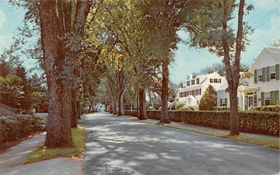 Main Street Centerville, Massachusetts Postcard