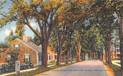 Typical Street in a Cape Cod Village Massachusetts Postcard