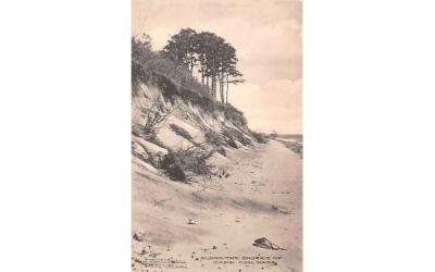 Along the Shores  Cape Cod, Massachusetts Postcard