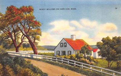 Windy Willows  Cape Cod, Massachusetts Postcard