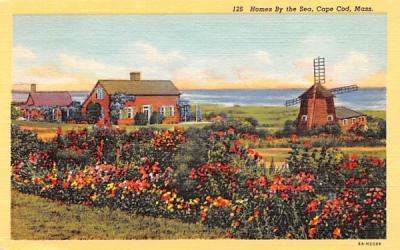 Homes by the Sea Cape Cod, Massachusetts Postcard
