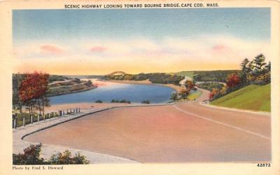 Scenic Highway Cape Cod, Massachusetts Postcard