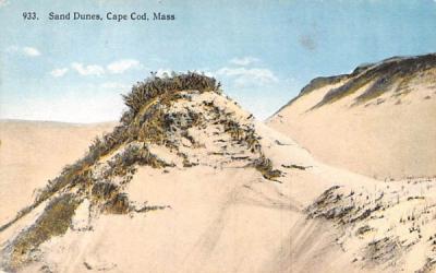 Sand Dunes Cape Cod, Massachusetts Postcard