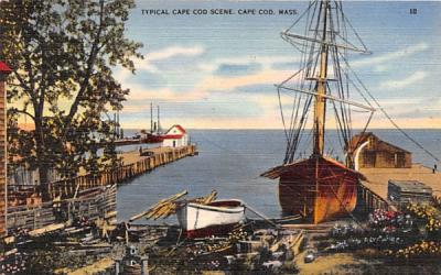 Typical Cape Cod Scene Massachusetts Postcard