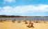 Oyster Pond Beach Chatham, Massachusetts Postcard