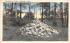 Thoreau's Cairn  Concord, Massachusetts Postcard