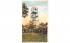 Observation Tower Centerville, Massachusetts Postcard