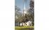 First Congregational Church Cape Cod, Massachusetts Postcard
