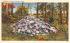 Thoreau's Cairn Concord, Massachusetts Postcard