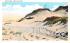 Sand Dunes Cape Cod, Massachusetts Postcard